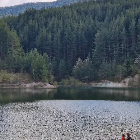 Life, Bansko, Private C-17 Банско